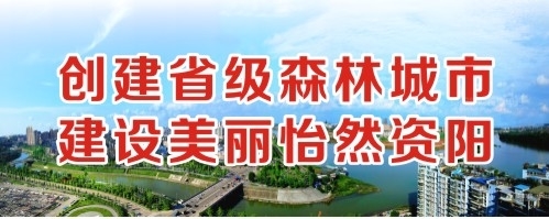 爆乳骚逼你爱操吗创建省级森林城市 建设美丽怡然资阳